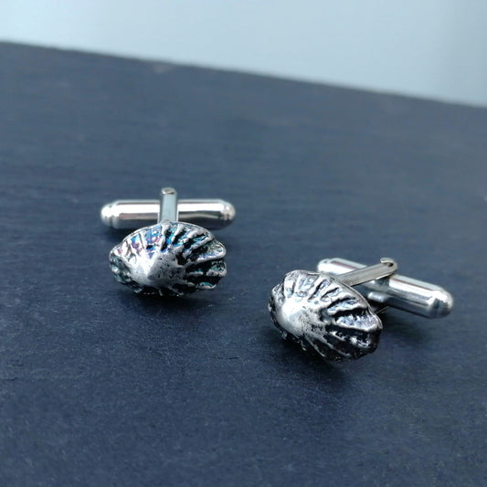 Limpet shell cufflinks